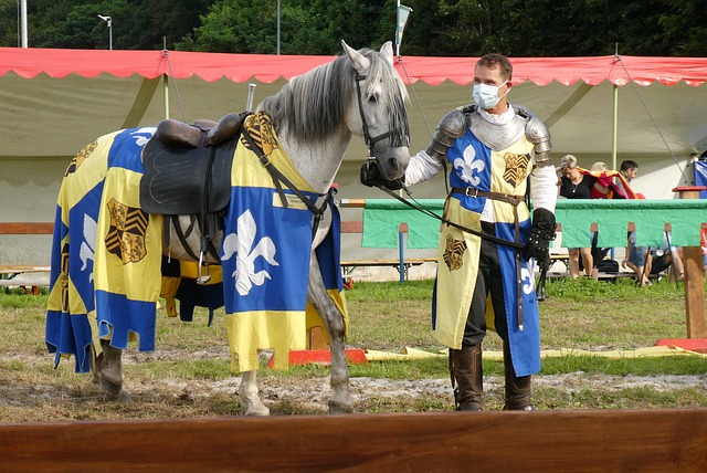这种以